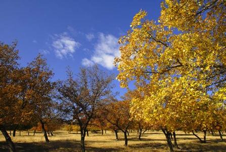 科左中旗天气预报10天查询,末来十天天气