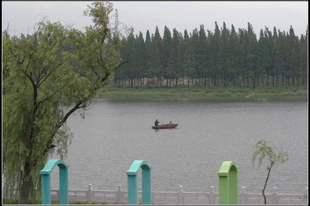 利辛天气预报10天查询，末来十天天气