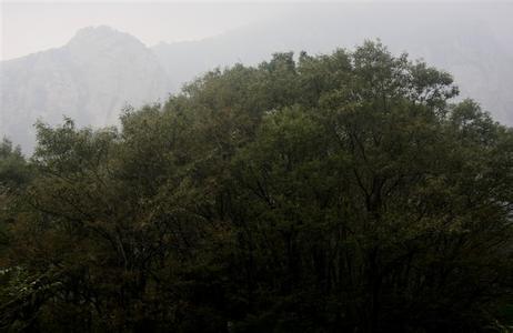 尉氏天气预报10天查询，末来十天天气