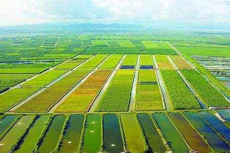 斗门天气预报10天查询，末来十天天气