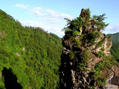 宁德寿宁天气预报_寿宁天气预报一周7天10天15天宁德寿宁天气预报,寿宁天气预报一周7天10天15天