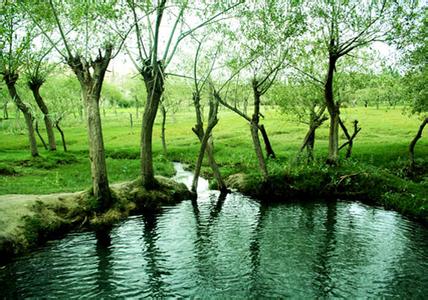 喀什疏附天气预报_疏附天气预报一周7天10天15天喀什疏附天气预报,疏附天气预报一周7天10天15天