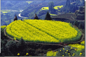 衢州南华山风景区天气