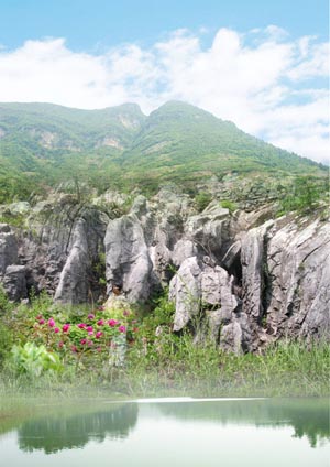 芜湖丫山花海石林天气