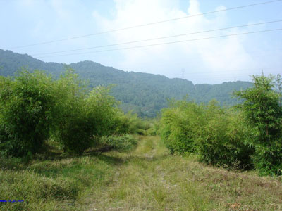 红河金平分水岭天气