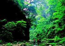 枣阳青龙山熊河风景区天气